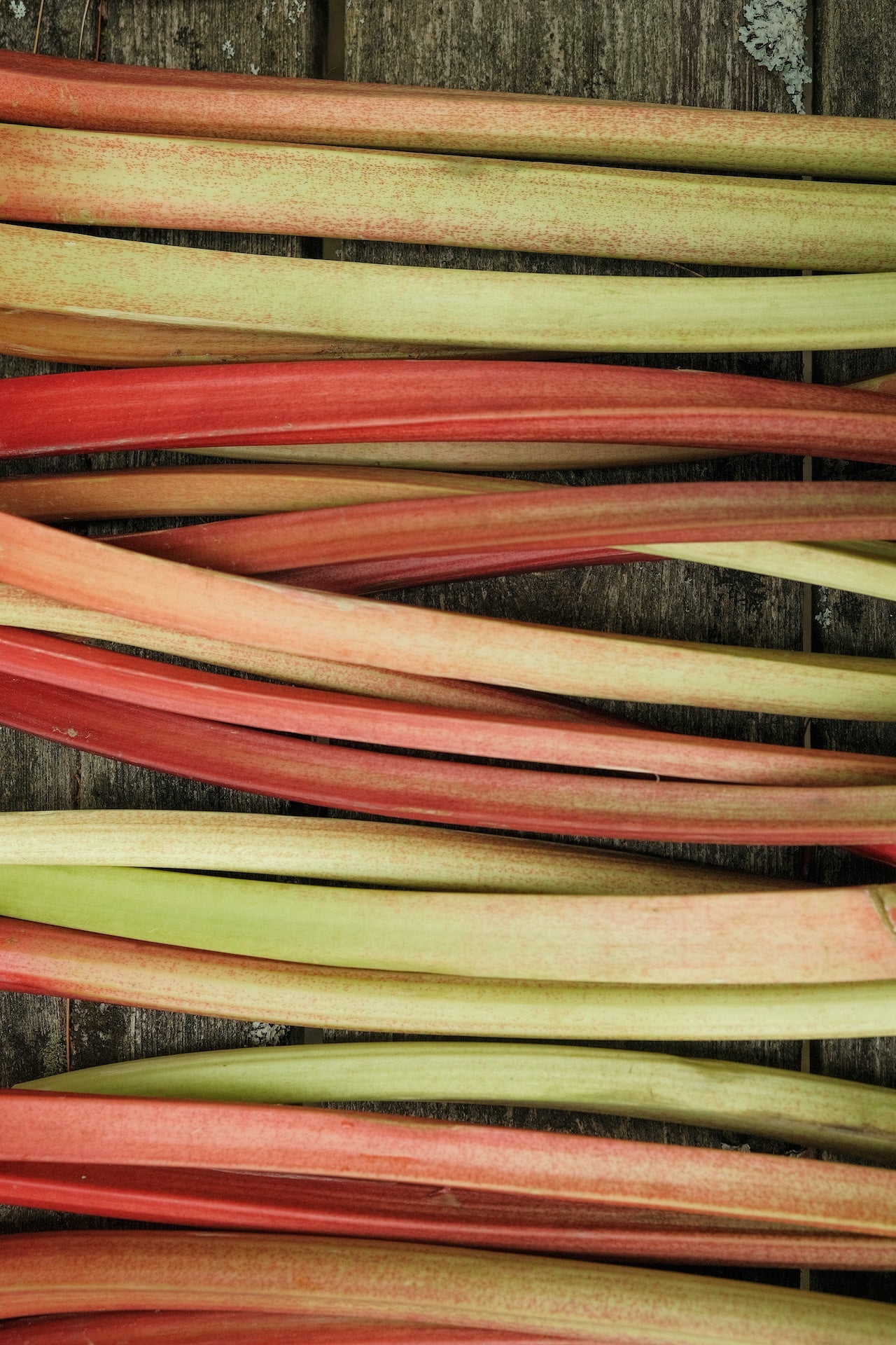 Rhubarb and wildflower jam