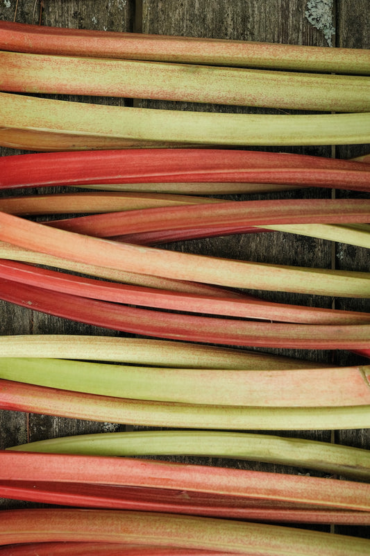 Confiture Rhubarbe et fleurs sauvages